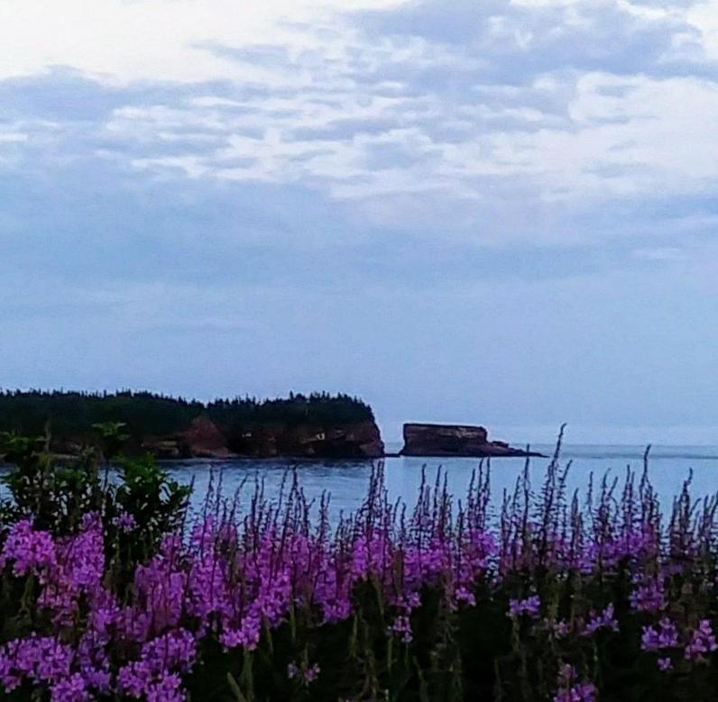 Moore'S Specialties Fundy Bay House Rental Gardner Creek Eksteriør bilde