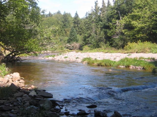 Moore'S Specialties Fundy Bay House Rental Gardner Creek Eksteriør bilde