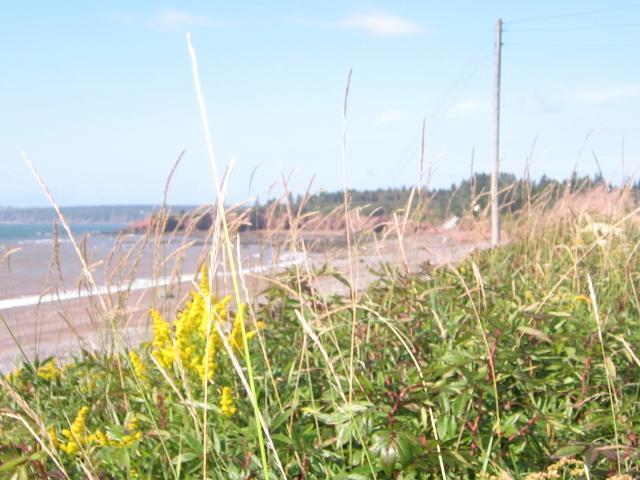 Moore'S Specialties Fundy Bay House Rental Gardner Creek Eksteriør bilde