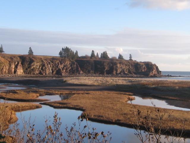 Moore'S Specialties Fundy Bay House Rental Gardner Creek Eksteriør bilde