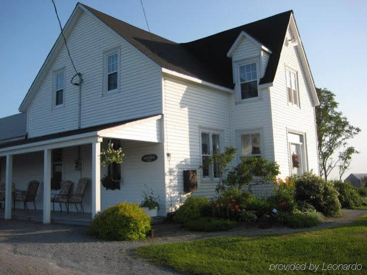 Moore'S Specialties Fundy Bay House Rental Gardner Creek Eksteriør bilde
