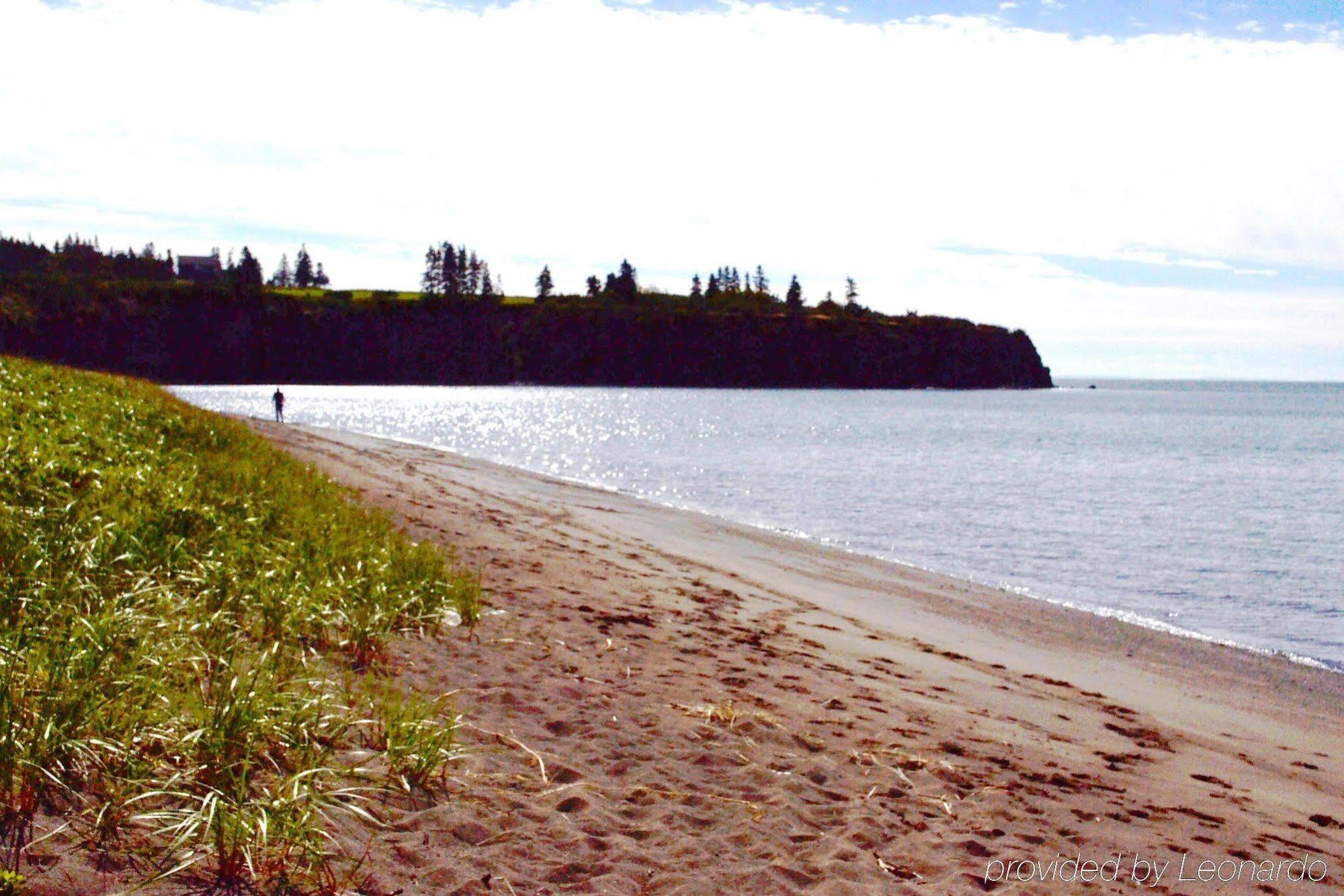 Moore'S Specialties Fundy Bay House Rental Gardner Creek Eksteriør bilde