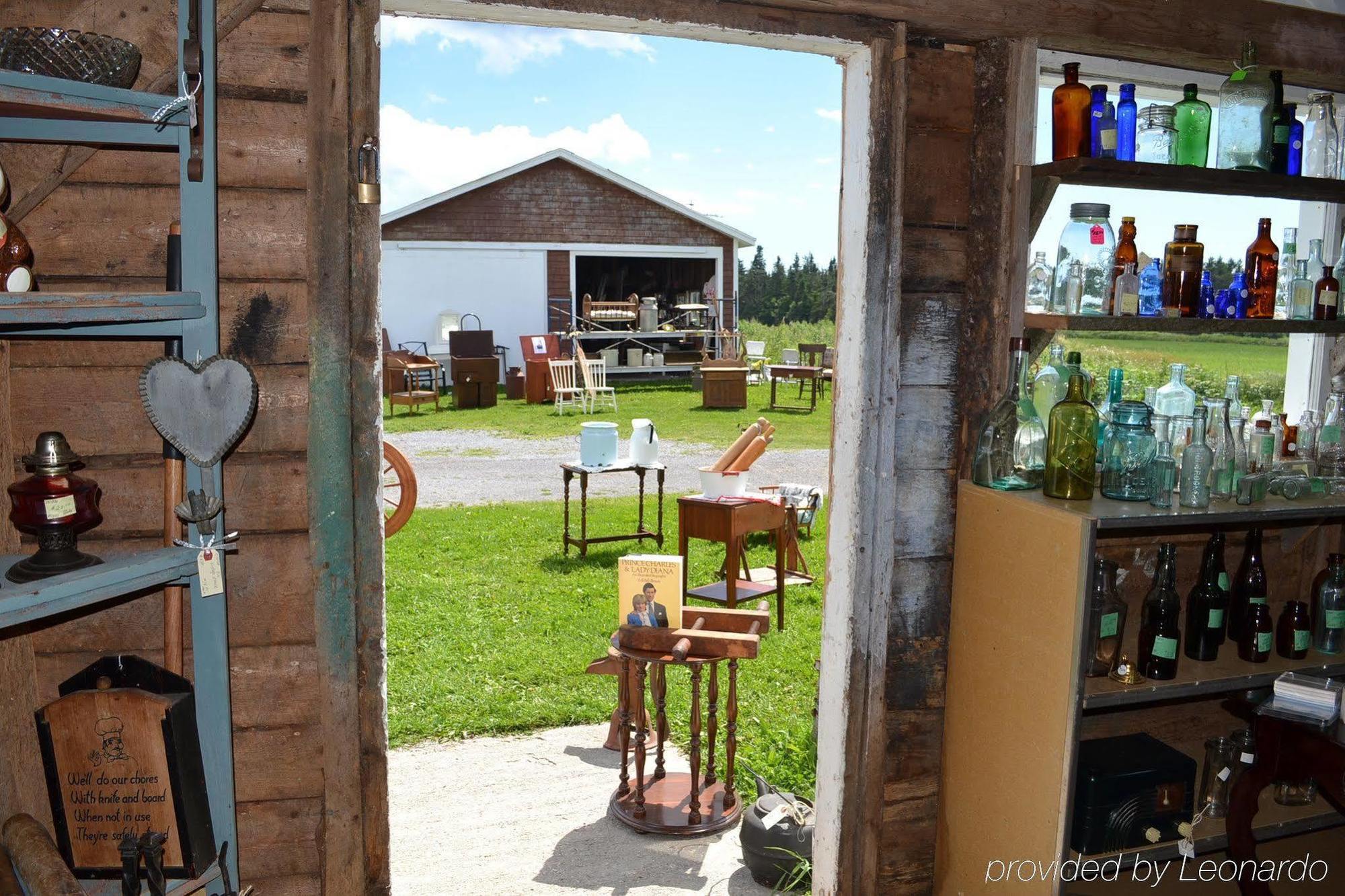 Moore'S Specialties Fundy Bay House Rental Gardner Creek Eksteriør bilde