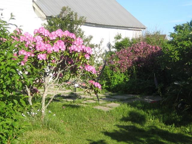 Moore'S Specialties Fundy Bay House Rental Gardner Creek Eksteriør bilde