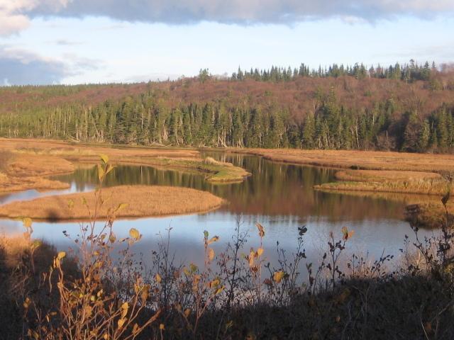 Moore'S Specialties Fundy Bay House Rental Gardner Creek Eksteriør bilde