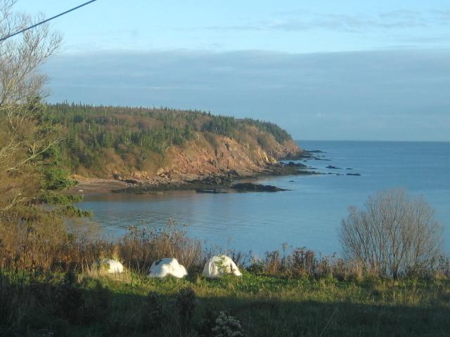 Moore'S Specialties Fundy Bay House Rental Gardner Creek Eksteriør bilde