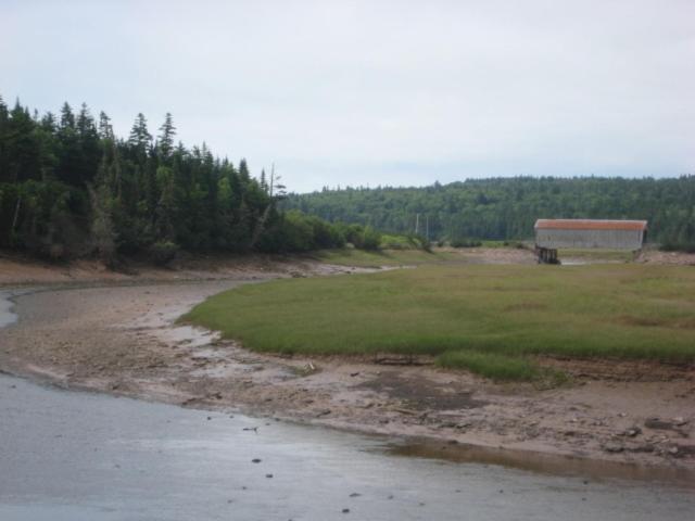 Moore'S Specialties Fundy Bay House Rental Gardner Creek Eksteriør bilde